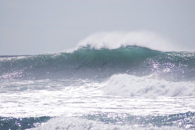 Nice, eh? Too bad nobody could paddle out through it and catch any of these.